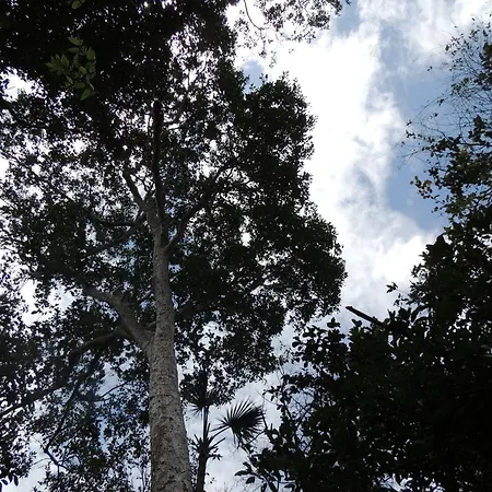 Villa Maya - Glamping - Natural Reserve